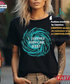 Official I survived hurricane debby 2024 Florida T shirt