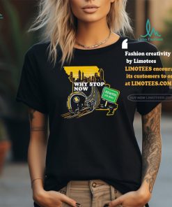 Pittsburgh Steelers Why Stop Now Skyline Shirt