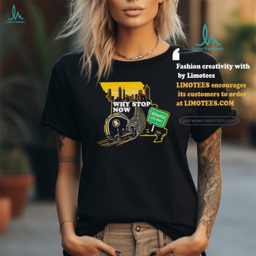 Pittsburgh Steelers Why Stop Now Skyline Shirt
