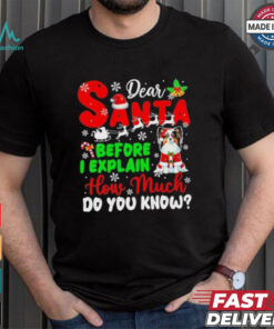 Dear Santa Before I Explain How Much Do You Know Xmas Shirt