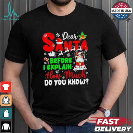 Dear Santa Before I Explain How Much Do You Know Xmas Shirt