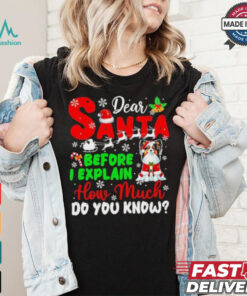 Dear Santa Before I Explain How Much Do You Know Xmas Shirt