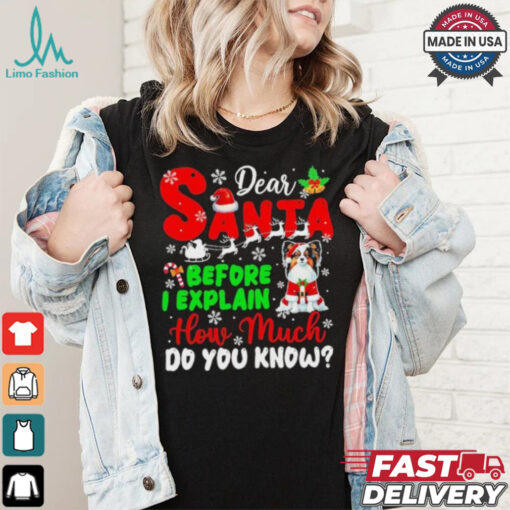 Dear Santa Before I Explain How Much Do You Know Xmas Shirt