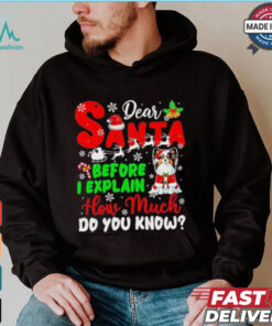 Dear Santa Before I Explain How Much Do You Know Xmas Shirt