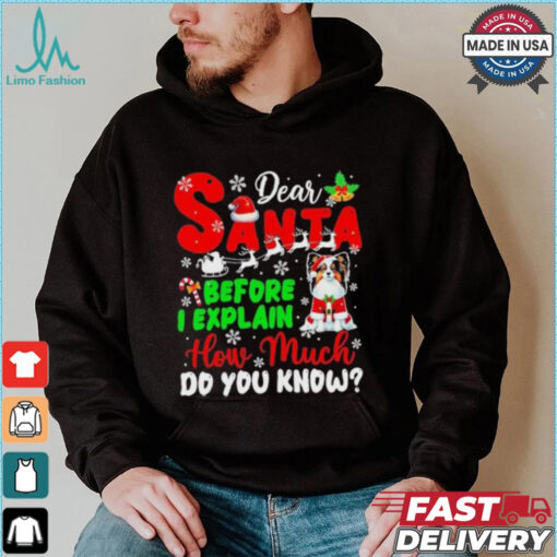 Dear Santa Before I Explain How Much Do You Know Xmas Shirt