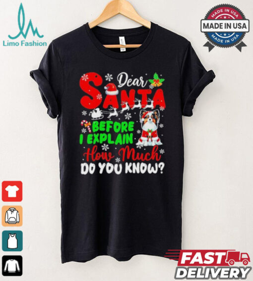 Dear Santa Before I Explain How Much Do You Know Xmas Shirt