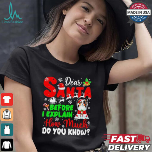 Dear Santa Before I Explain How Much Do You Know Xmas Shirt