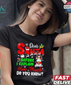 Dear Santa Before I Explain How Much Do You Know Xmas Shirt