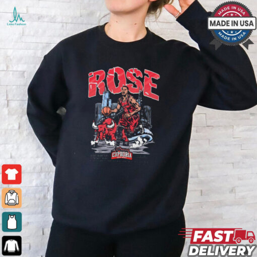 Derrick Rose Chicago Bulls Planet Euphoria Artwork t shirt