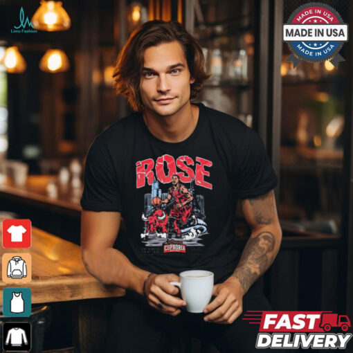 Derrick Rose Chicago Bulls Planet Euphoria Artwork t shirt