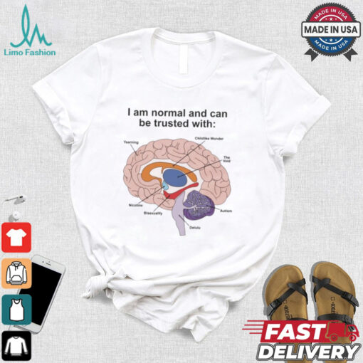 I Am Normal And Can Be Trusted With T Shirts