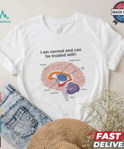 I Am Normal And Can Be Trusted With T Shirts