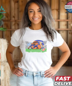 Next... Gary the Lion Shirt