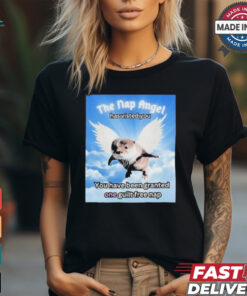 The nap angle has visited you you have been granted one guilt free nap T shirt