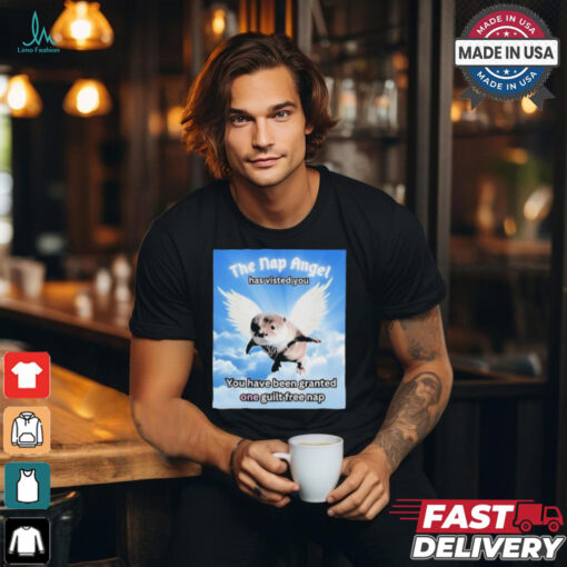 The nap angle has visited you you have been granted one guilt free nap T shirt