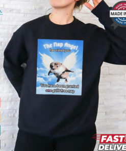 The nap angle has visited you you have been granted one guilt free nap T shirt