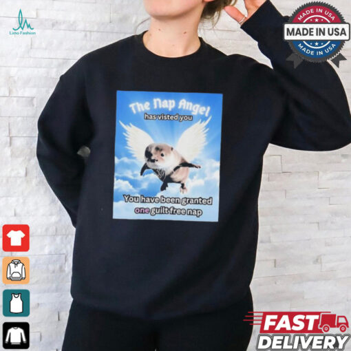 The nap angle has visited you you have been granted one guilt free nap T shirt