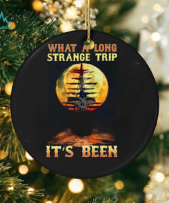 Grateful Dead   what a long strage trip Unisex T Shirt