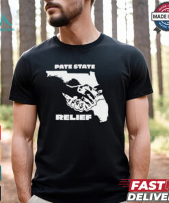 Pate State Material Florida Relief Painting t shirt