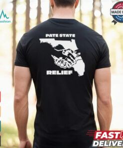 Pate State Material Florida Relief Painting t shirt