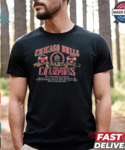 Vintage Chicago Bulls T shirt NBA 1992 World Champ Tee