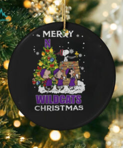 2024 Northwestern Wildcats Snoopy And Friends Merry Christmas Shirt