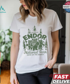 Disney Endor Shirt, Star Wars Planet Shirt