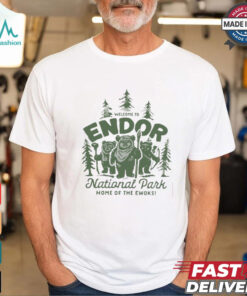 Disney Endor Shirt, Star Wars Planet Shirt