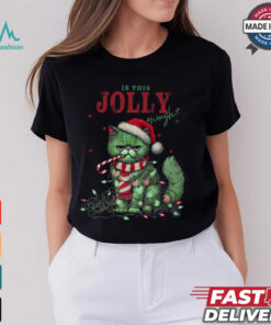 Is This Jolly Enough Cat Lover Christmas Shirt