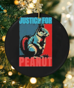 Justice For Peanut Peanut The Squirrel Poster 2024 Shirt