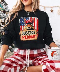 Justice For Peanut The Squirrel Peanut Squirrel Maga T Shirt