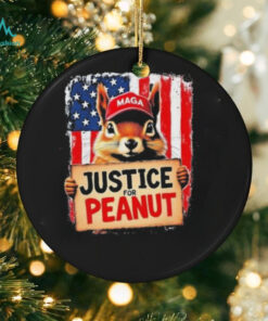 Justice For Peanut The Squirrel Peanut Squirrel Maga T Shirt