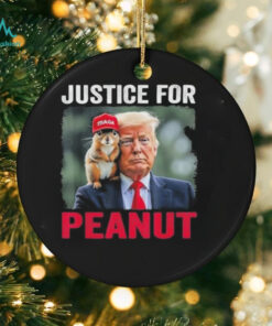 Trump Justice For Peanut The Squirrel Wanted T Shirt